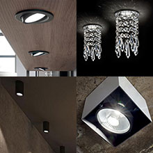 Лунички и кардани