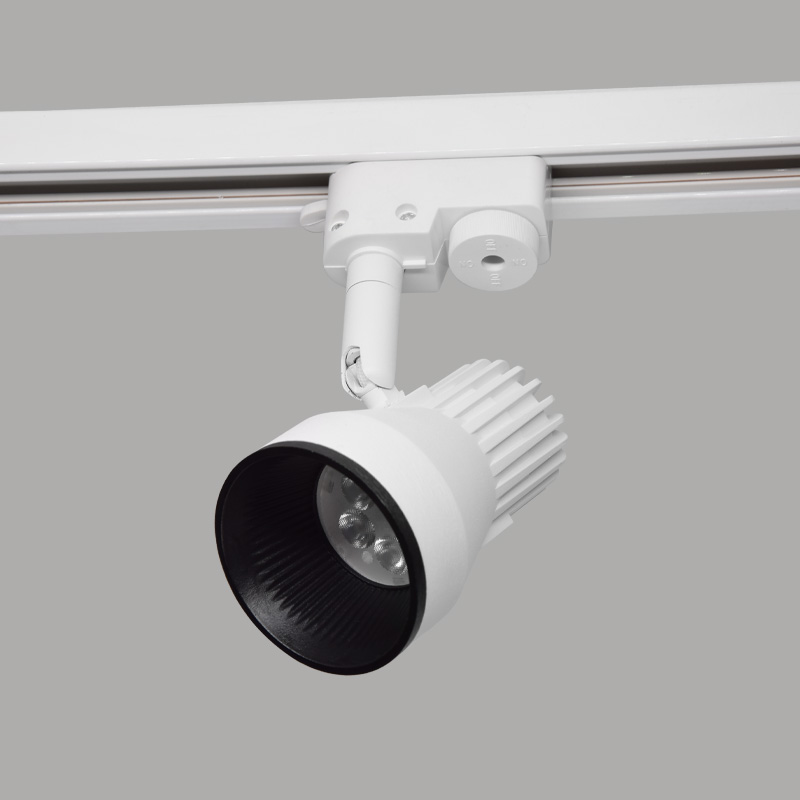 projektor za dvulinejna shina