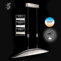 Полилей COLMAR