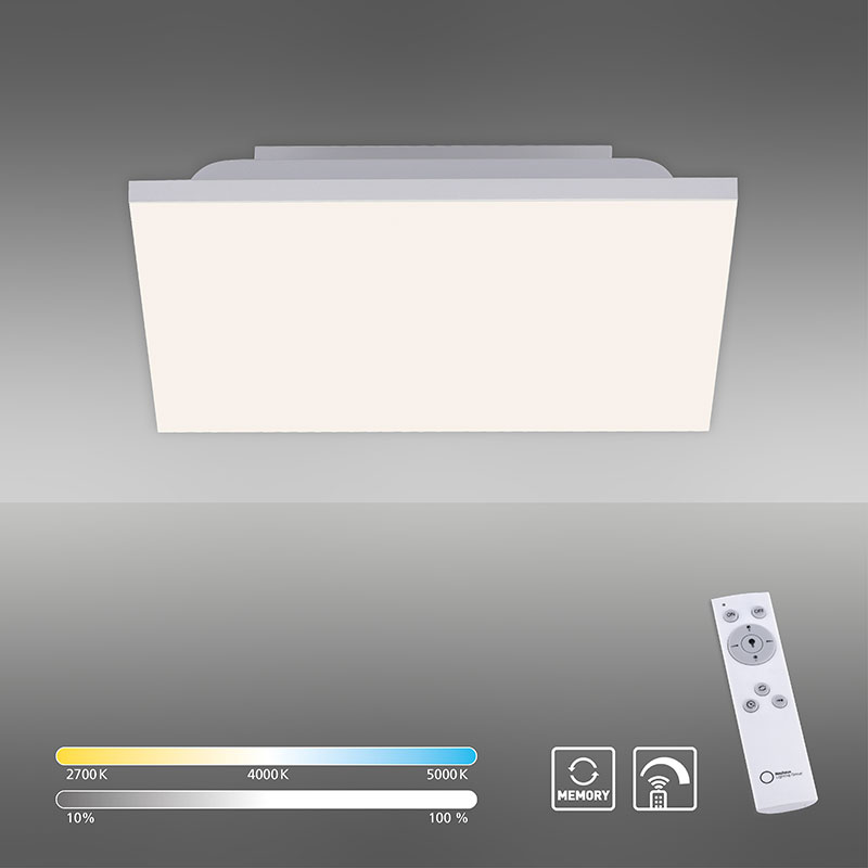 led plafon s distantsionno canvas