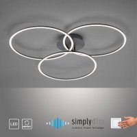 LED Плафон IVANKA