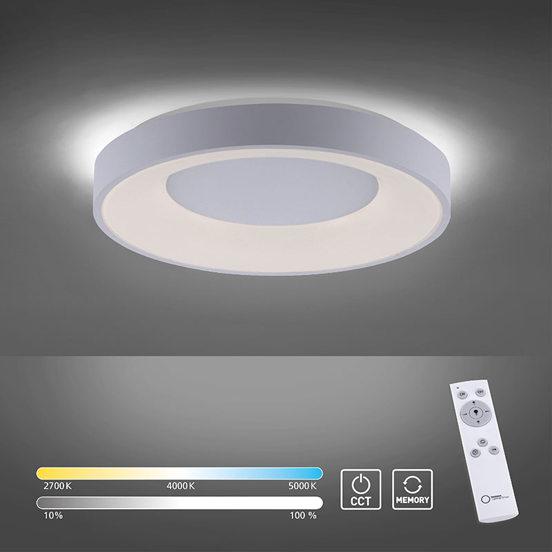 led plafon s distantsionno anika