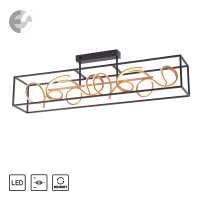 led plafon selina Art.No.6473-18