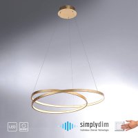 LED полилей ROMAN