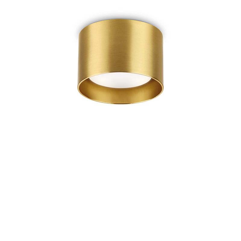 lunichki za vynshen montaj spike