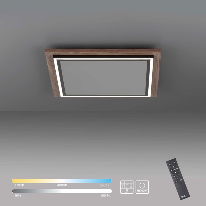 led plafon ot dyrvo s distantsionno palma