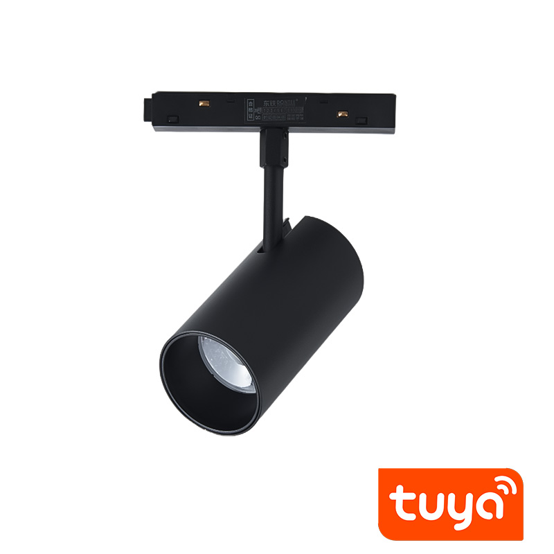 magniten spot track light 48v 10W cct