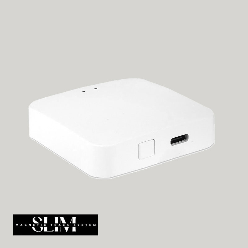 domashen shljuz gateway tuya smart slim