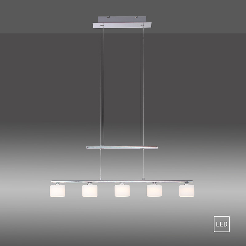 lineen polilej hydra