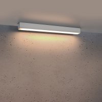 LED Плафон PINNE