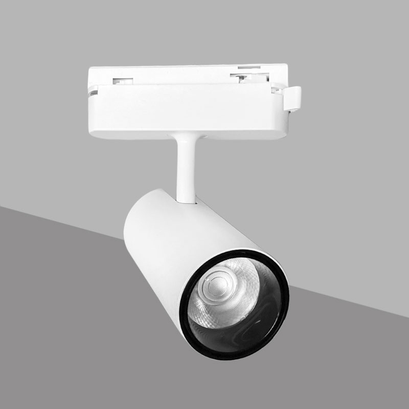 led projektor za dvulinejna shina 10W 3000k