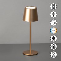 CCT настолна лампа за градина с батерия IP54 Roxi