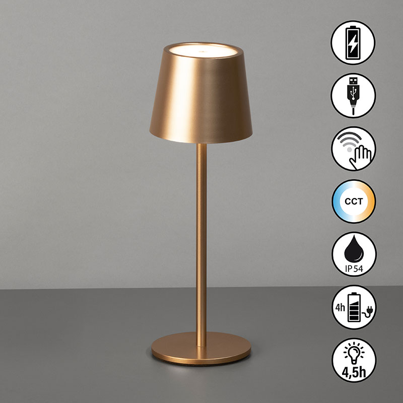 cct nastolna lampa za gradina s bateriq ip54 roxi