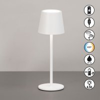 CCT настолна лампа за градина с батерия IP54 Roxi