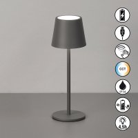 CCT настолна лампа за градина с батерия IP54 Roxi