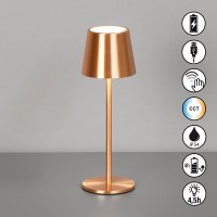 CCT настолна лампа за градина с батерия IP54 Roxi