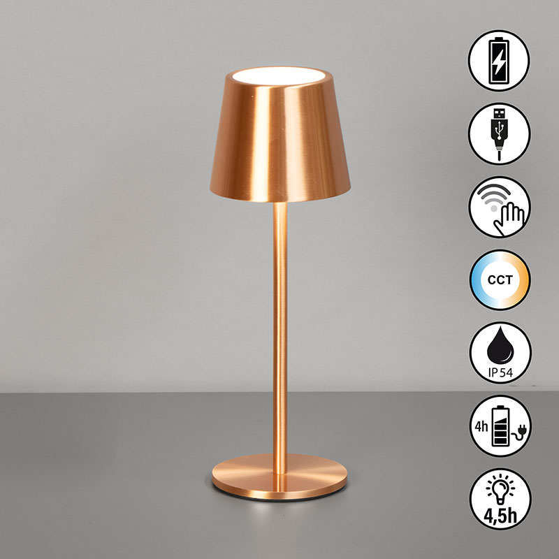 cct nastolna lampa za gradina s bateriq ip54 roxi