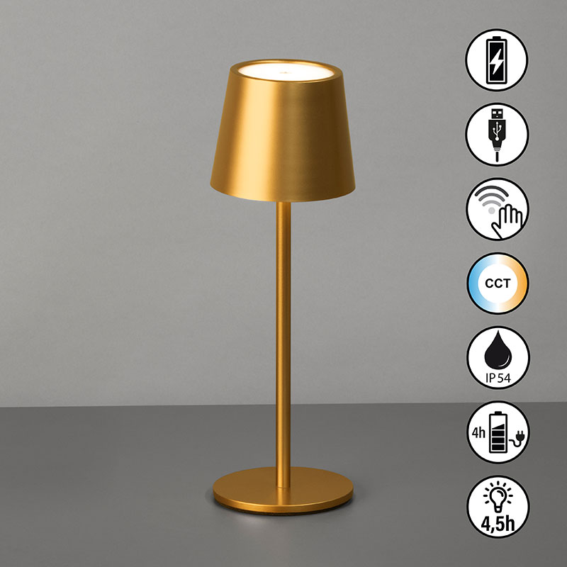 cct nastolna lampa za gradina s bateriq ip54 roxi