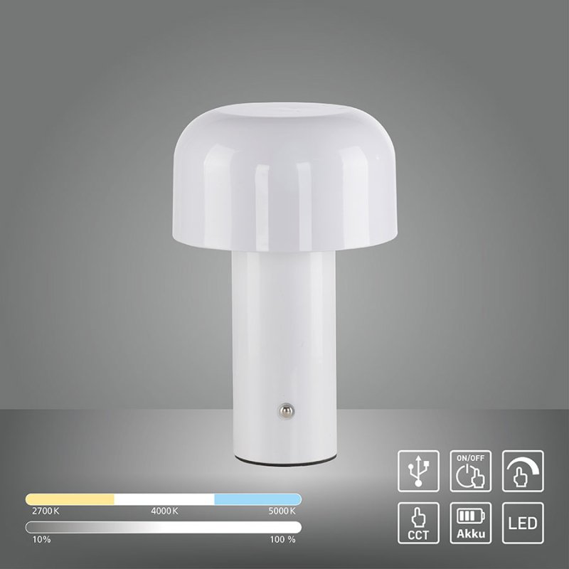 led nastolna lampa agnes