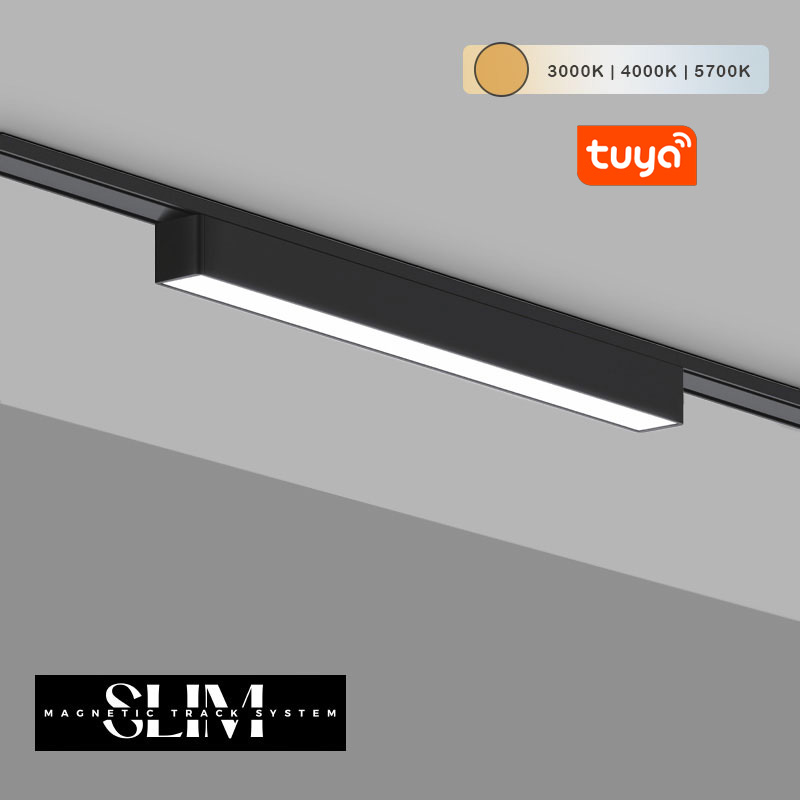 magniten osvetitel 10W cct 48v flood slim