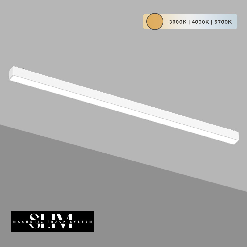 magniten osvetitel 20W cct 48v flood slim